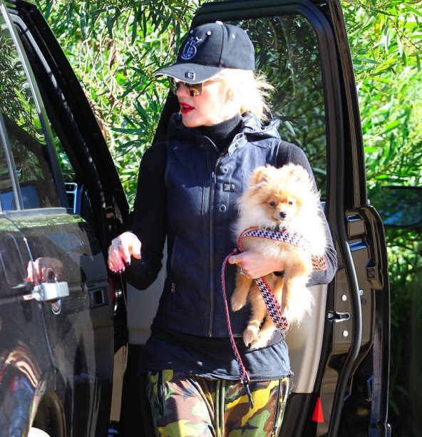 Novi 'modni dodatak' zgodnih žena 