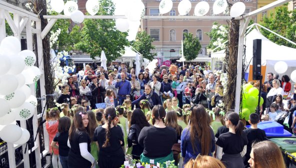 ZVIJEZDE NA STORYGREEN-U