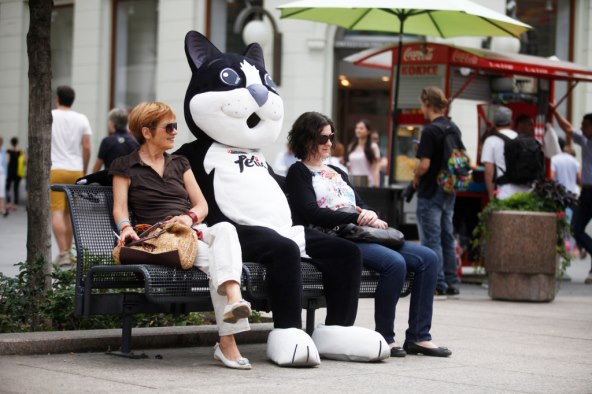 Purina FELIX hrana za mačke napokon i u Hrvatskoj