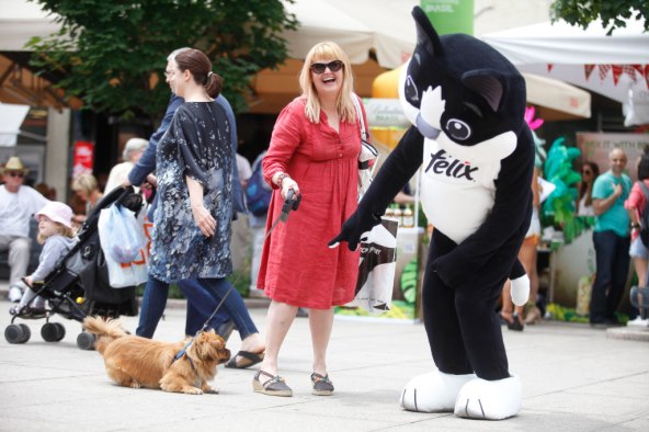 Purina FELIX hrana za mačke napokon i u Hrvatskoj