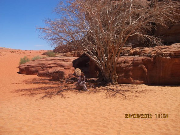Avantura Nevene Rendeli u pustinji