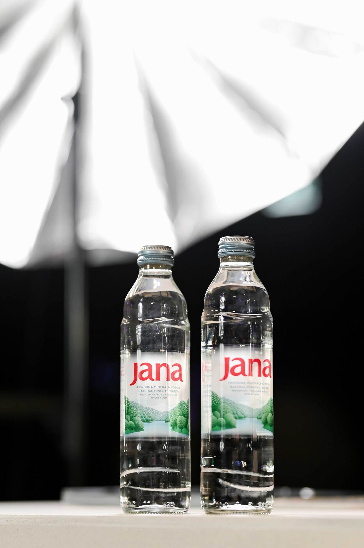 Atmosfera na Storybook partyju u Zonaru