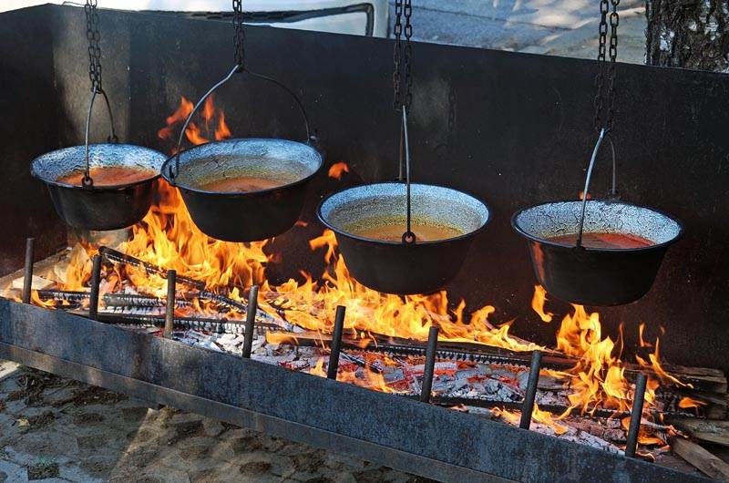 fis- Vatikan  (2).jpg