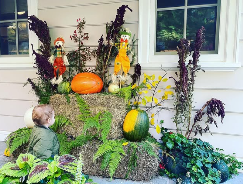 Snimka zaslona 2025-12-16 083744.png