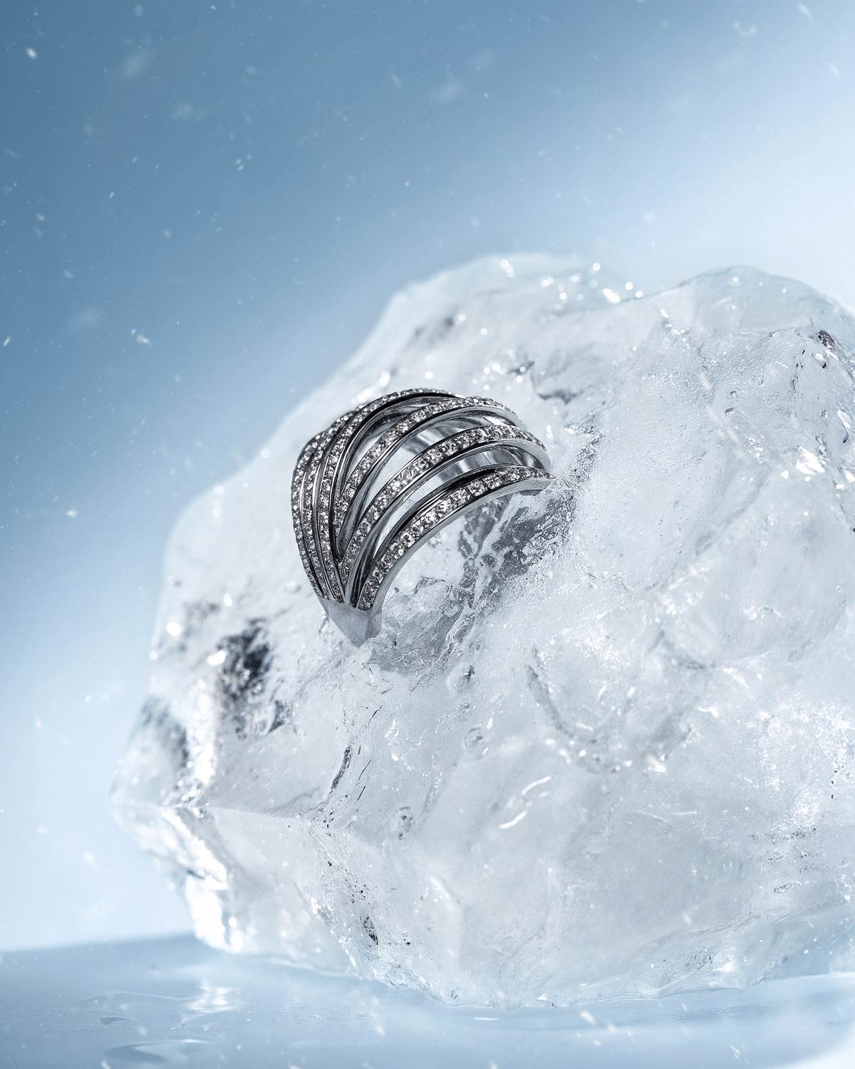 Prahir Xmas product (1).jpg