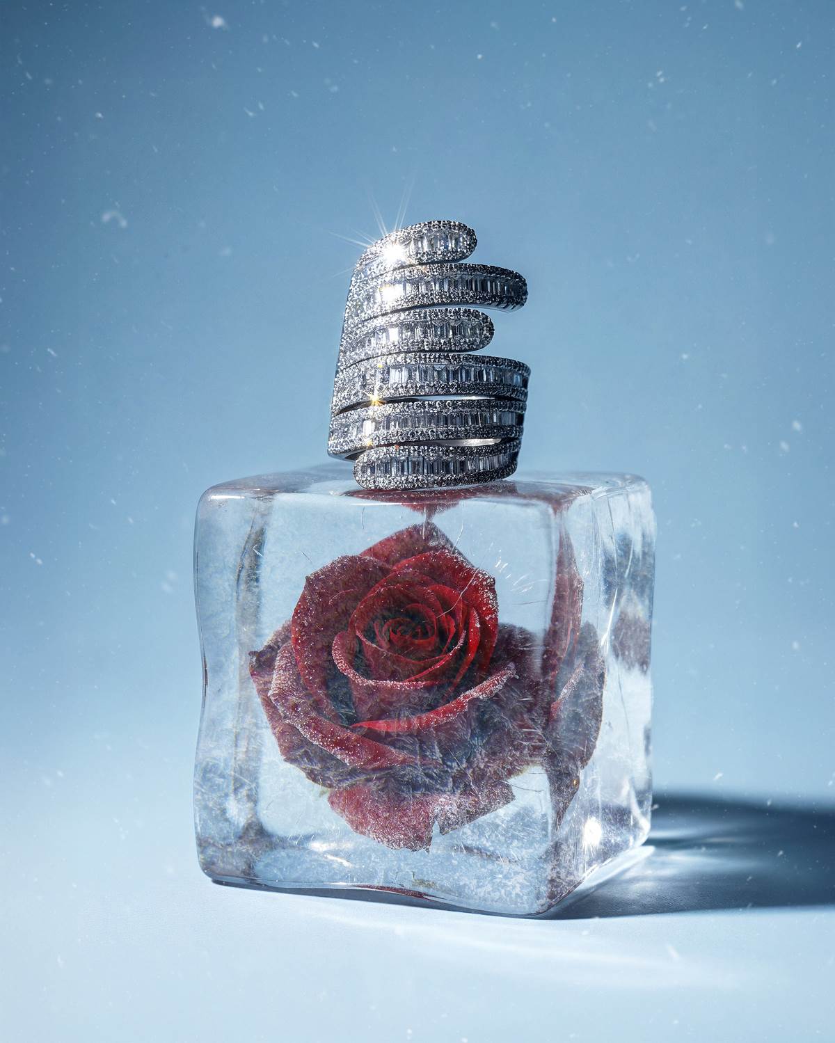 Prahir Xmas product (3).jpg