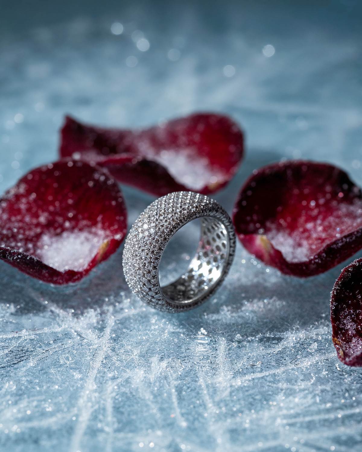 Prahir Xmas product (12).jpg