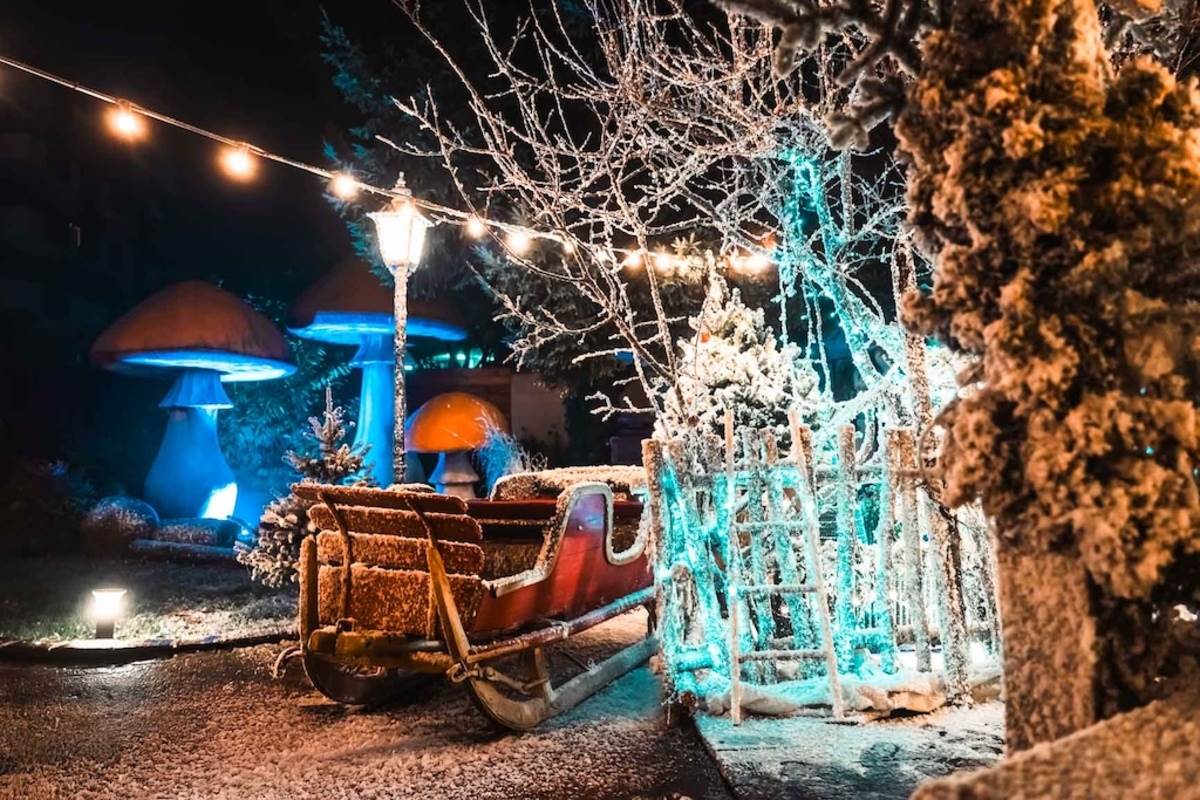 BOTANISTOVA SUMA DETALJI II.jpg