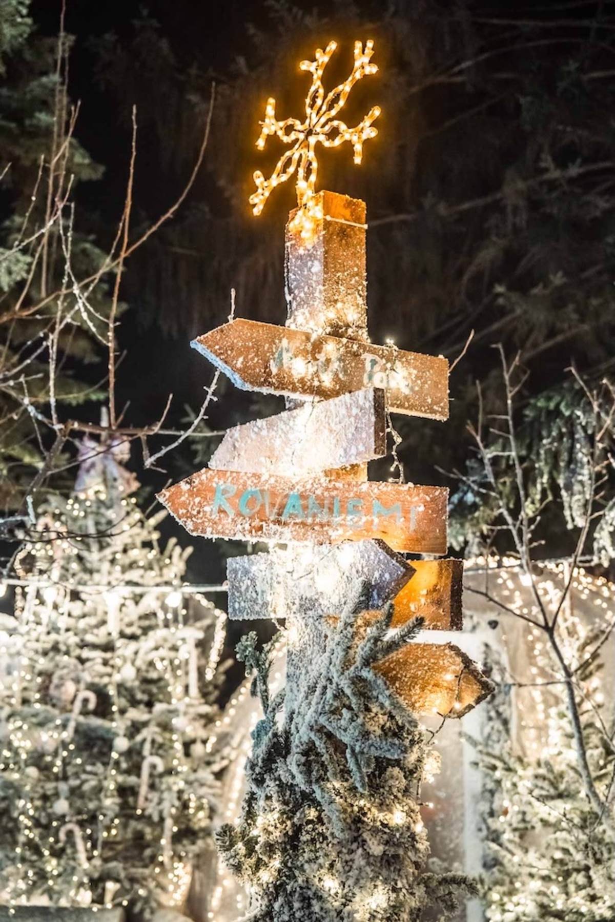 BOTANISTOVA ŠUMA DETALJI III.jpg