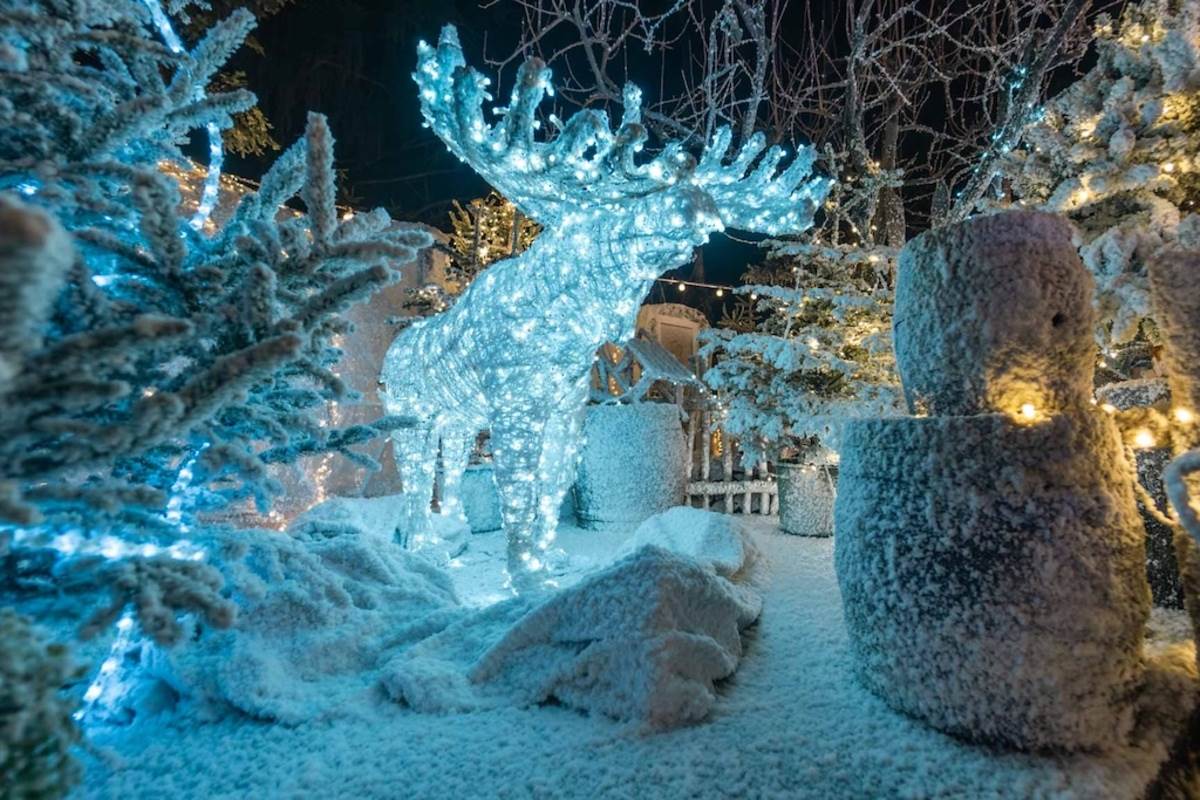 BOTANISTOVA ŠUMA.jpg