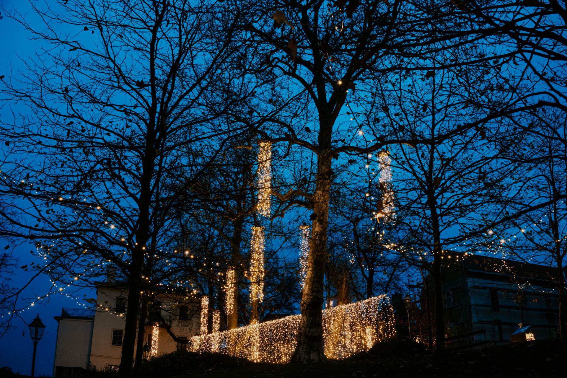 Samir Ceric Kovacevic_05122025_2Q7A8029.jpg