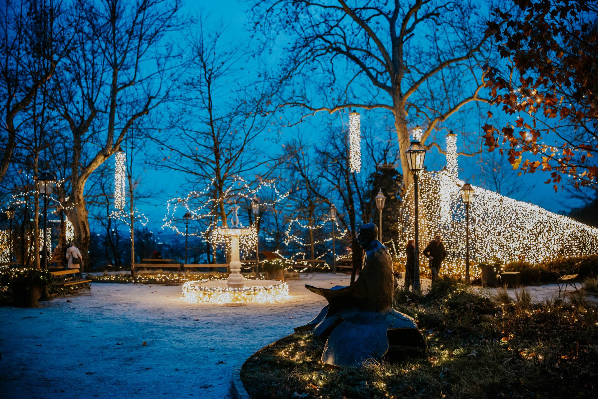 Samir Ceric Kovacevic_05122025_2Q7A8033.jpg