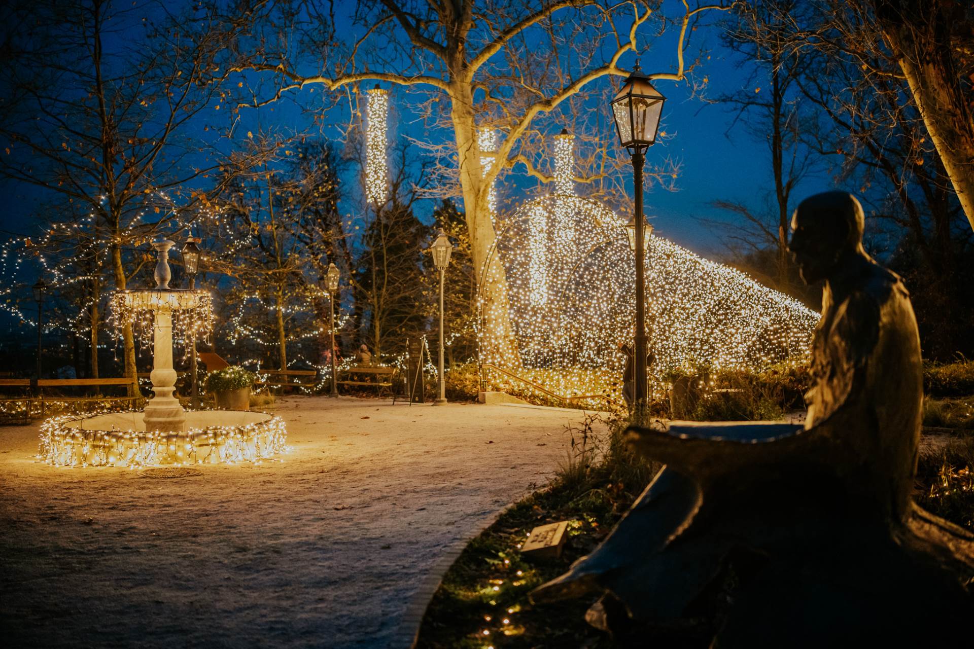 Samir Ceric Kovacevic_05122025_2Q7A8088.jpg