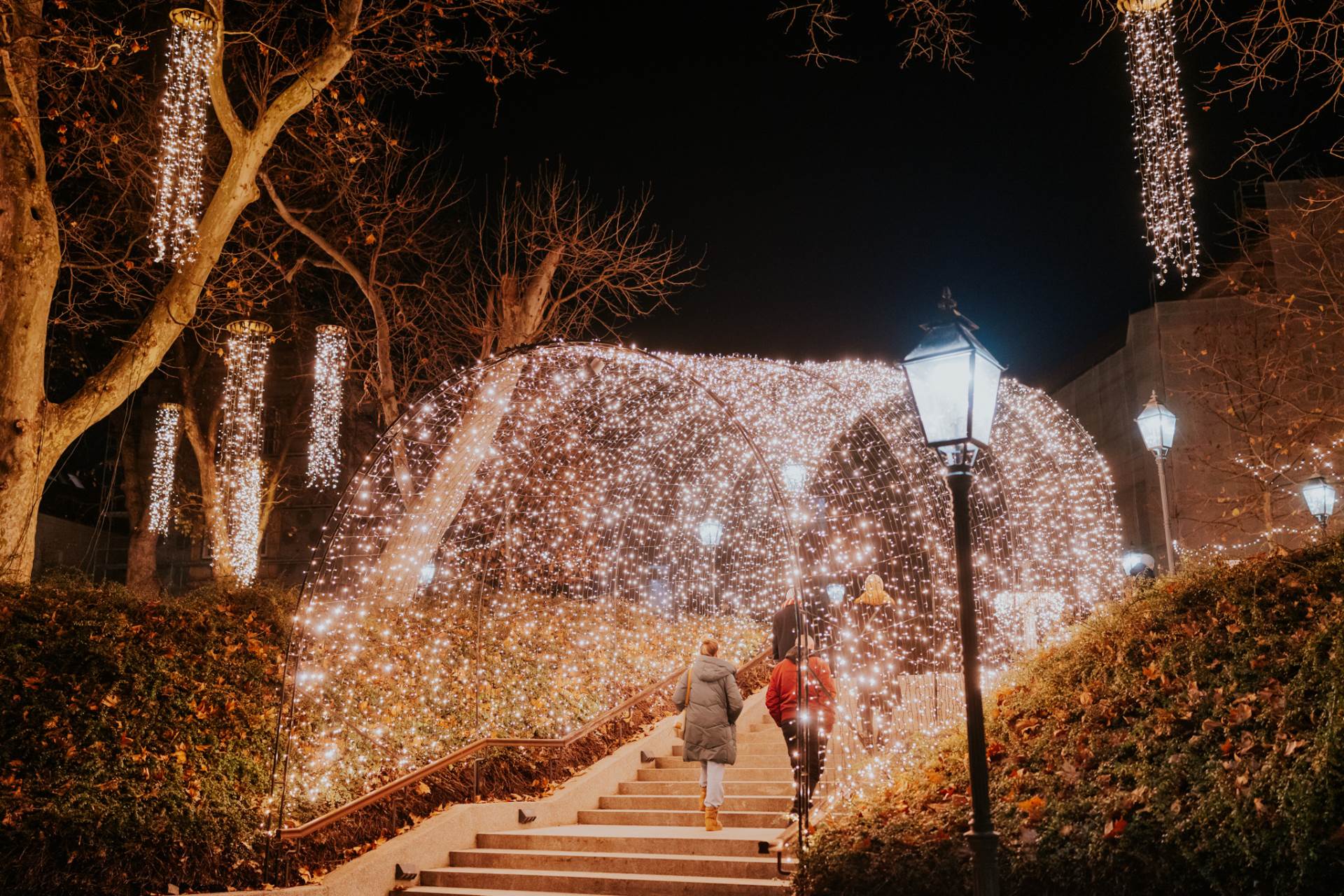 Samir Ceric Kovacevic_30112025_2Q7A6217.jpg