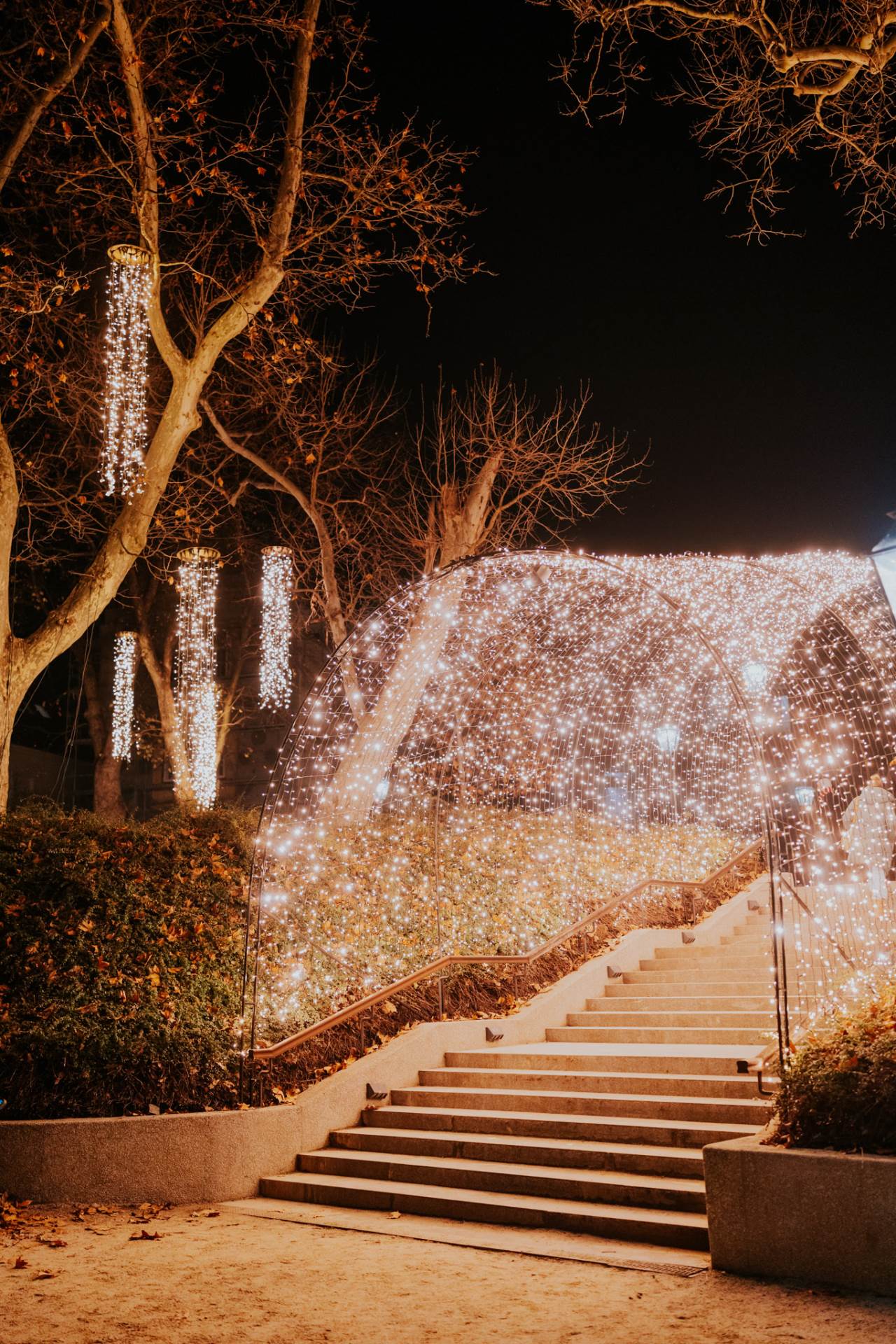 Samir Ceric Kovacevic_30112025_2Q7A6219.jpg