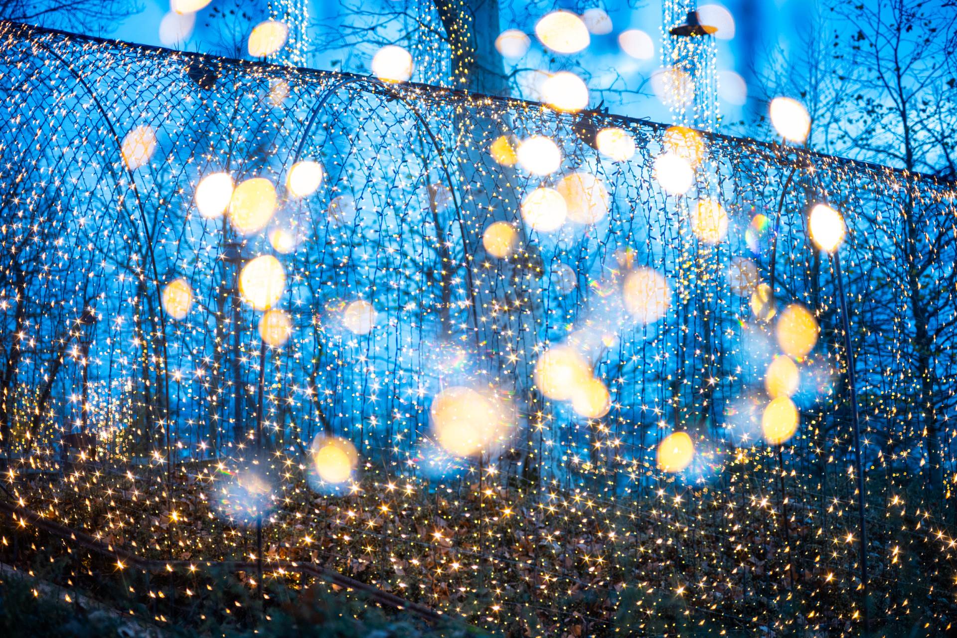 Sanjin Kastelan_DSC_9758.jpg