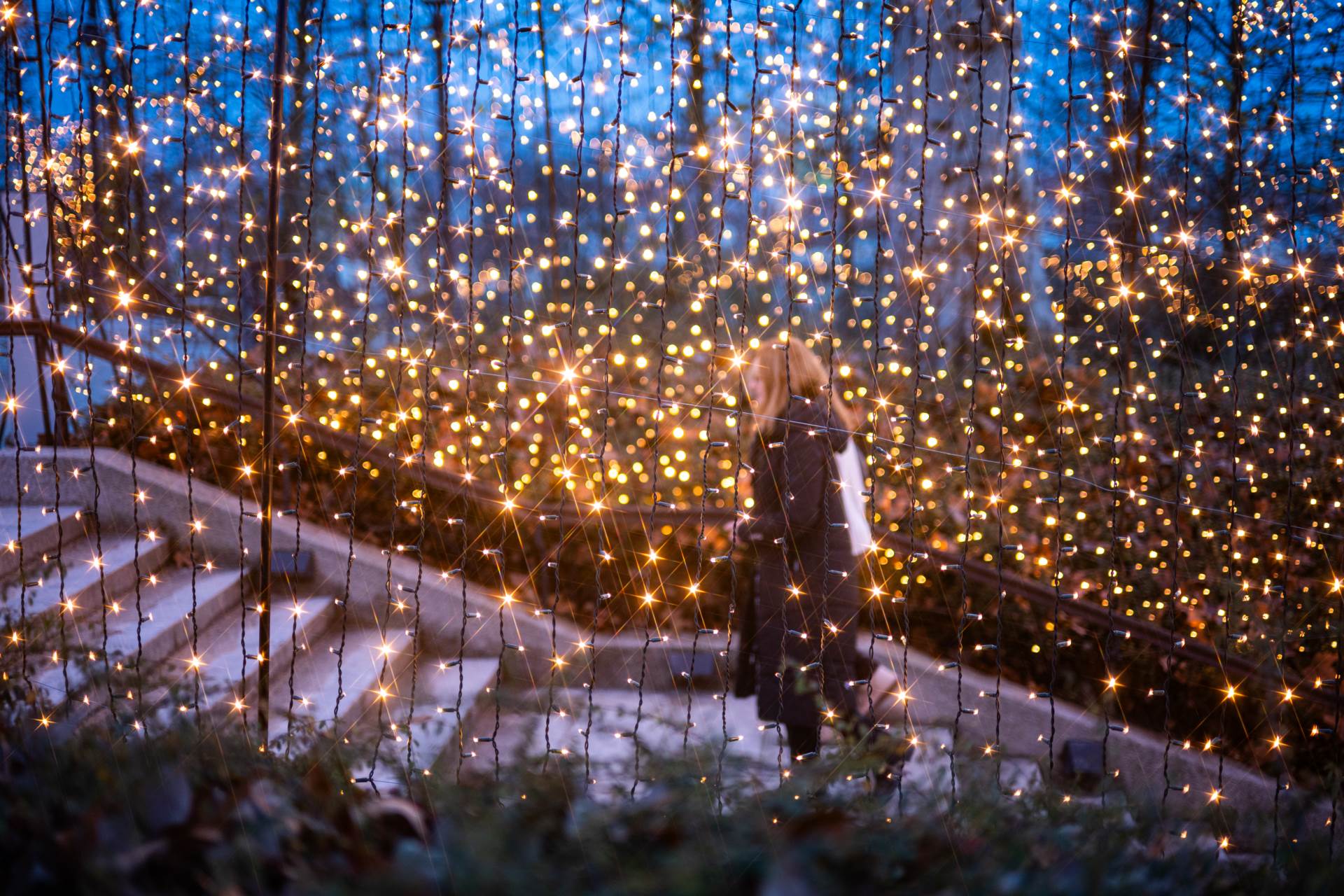 Sanjin Kastelan_DSC_9760.jpg