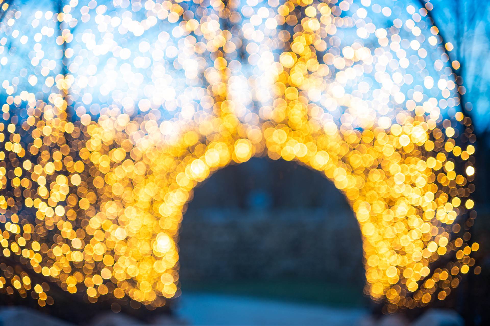 Sanjin Kastelan_DSC_9762.jpg