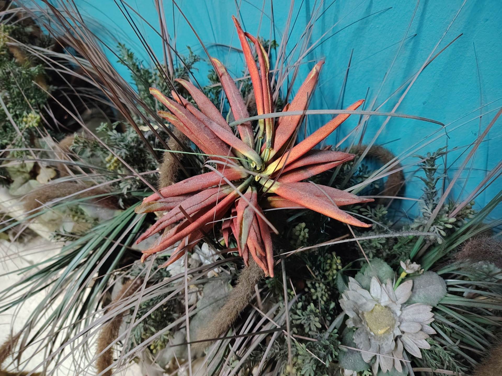 Fotografirano s Honor Magic8 Lite (20).jpg