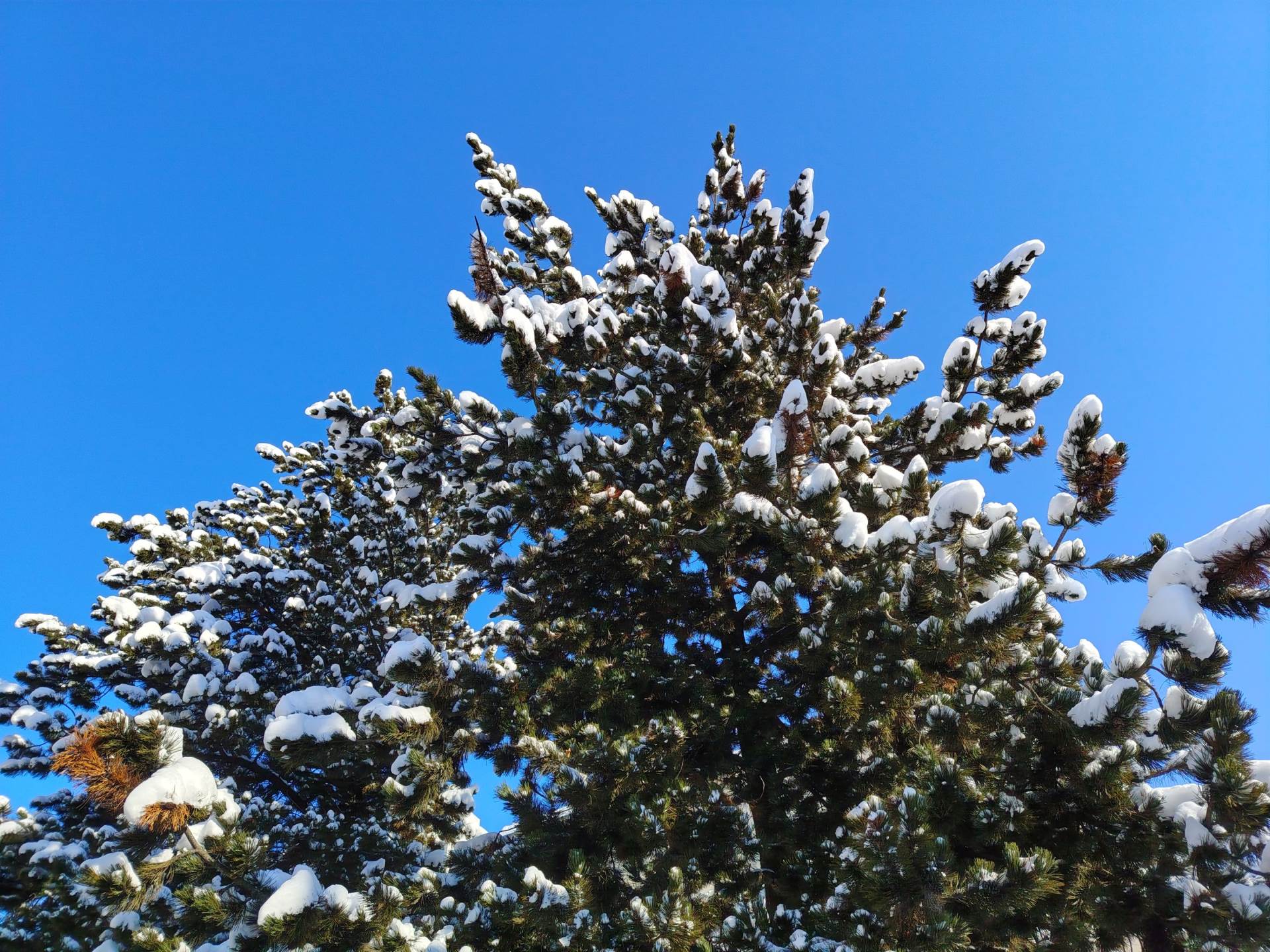 Fotografirano s Honor Magic8 Lite (13).jpg