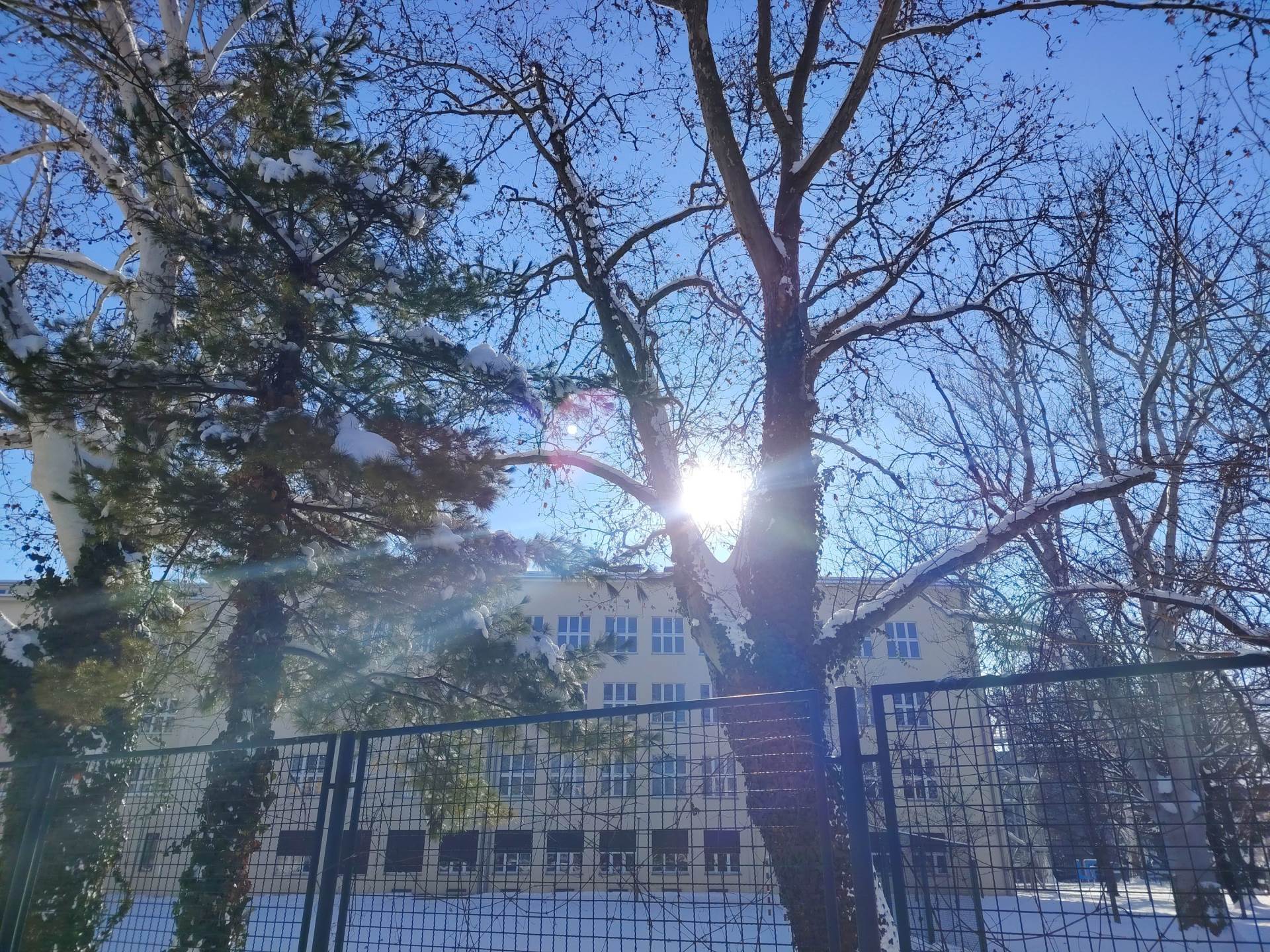 Fotografirano s Honor Magic8 Lite (15).jpg