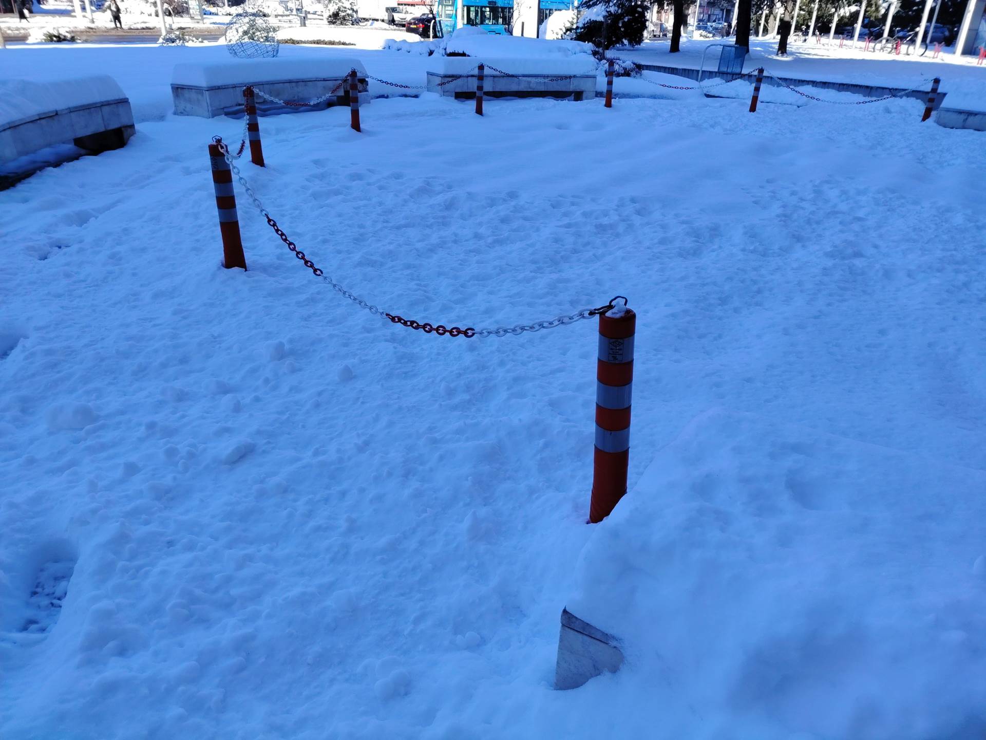 Fotografirano s Honor Magic8 Lite (18).jpg