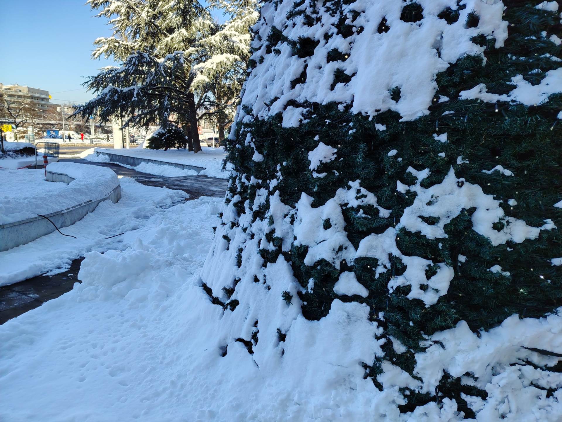 Fotografirano s Honor Magic8 Lite (19).jpg