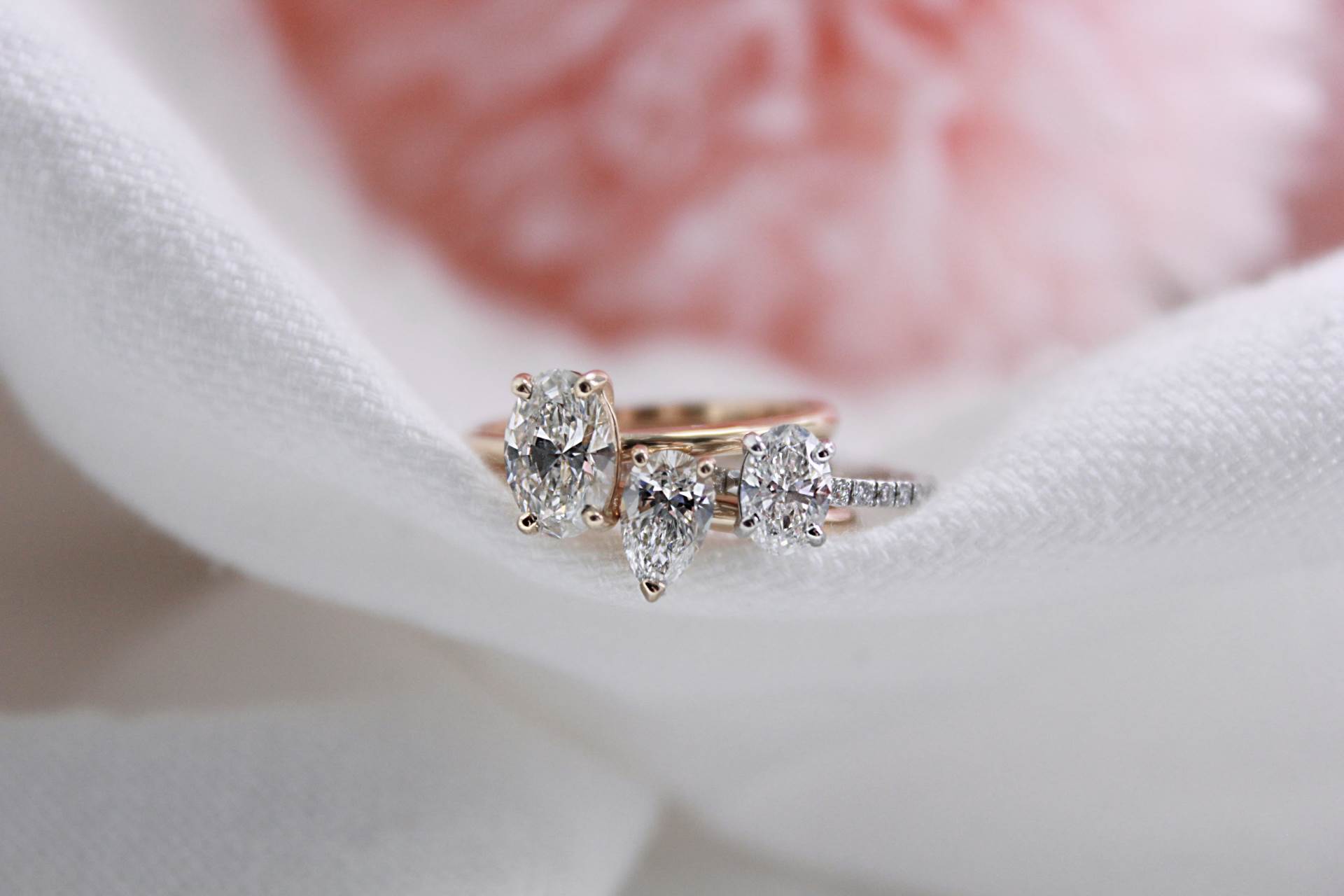 koci-tri_ puna rezolucija.jpg