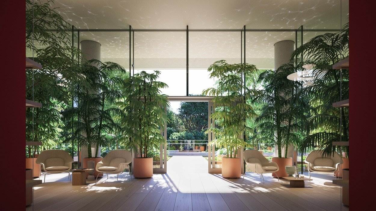 Opljačkan Novak Đoković