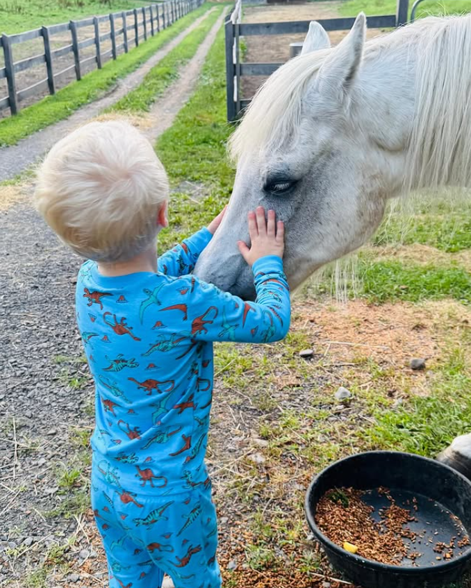 Snimka zaslona 2026-03-19 092212.png