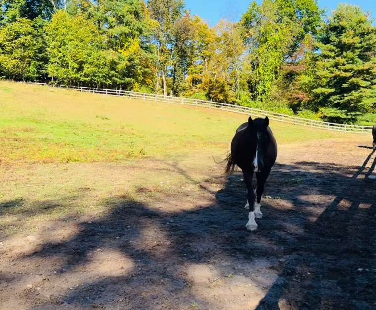 Snimka zaslona 2026-03-19 092122.png