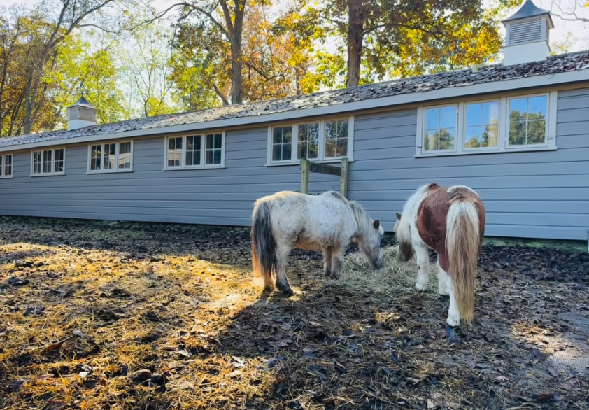 Snimka zaslona 2026-03-19 092114.png