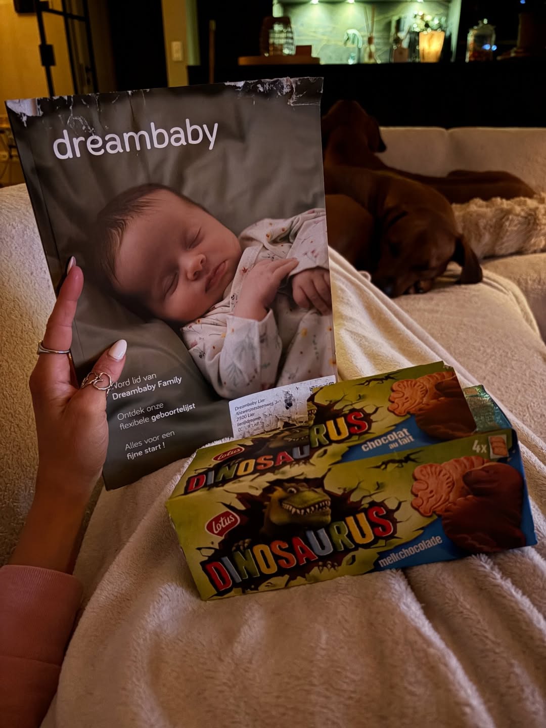 Week 20 ✨ recap ✨Een baby, een peuter, een dansend lief, een papa, een mama in wording, een crav (6).jpg