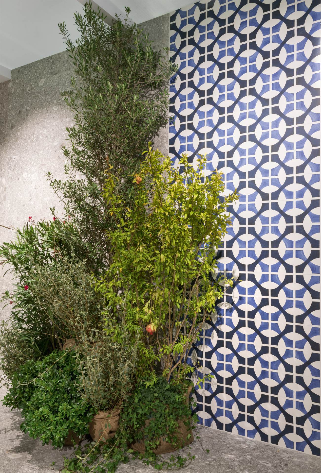 Interijeri uronjeni u svu ljepotu Mediterana