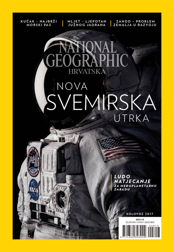 KUCE POSTAJU SVE PAMETNIJE I PAMETNIJE: Zabava i zaštita su pokretaci