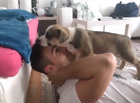 ŠTO JE TO NOVO U CHROMEU? Novo je pretraživanje pomocu slika