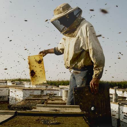 Zagreb Film Festival
