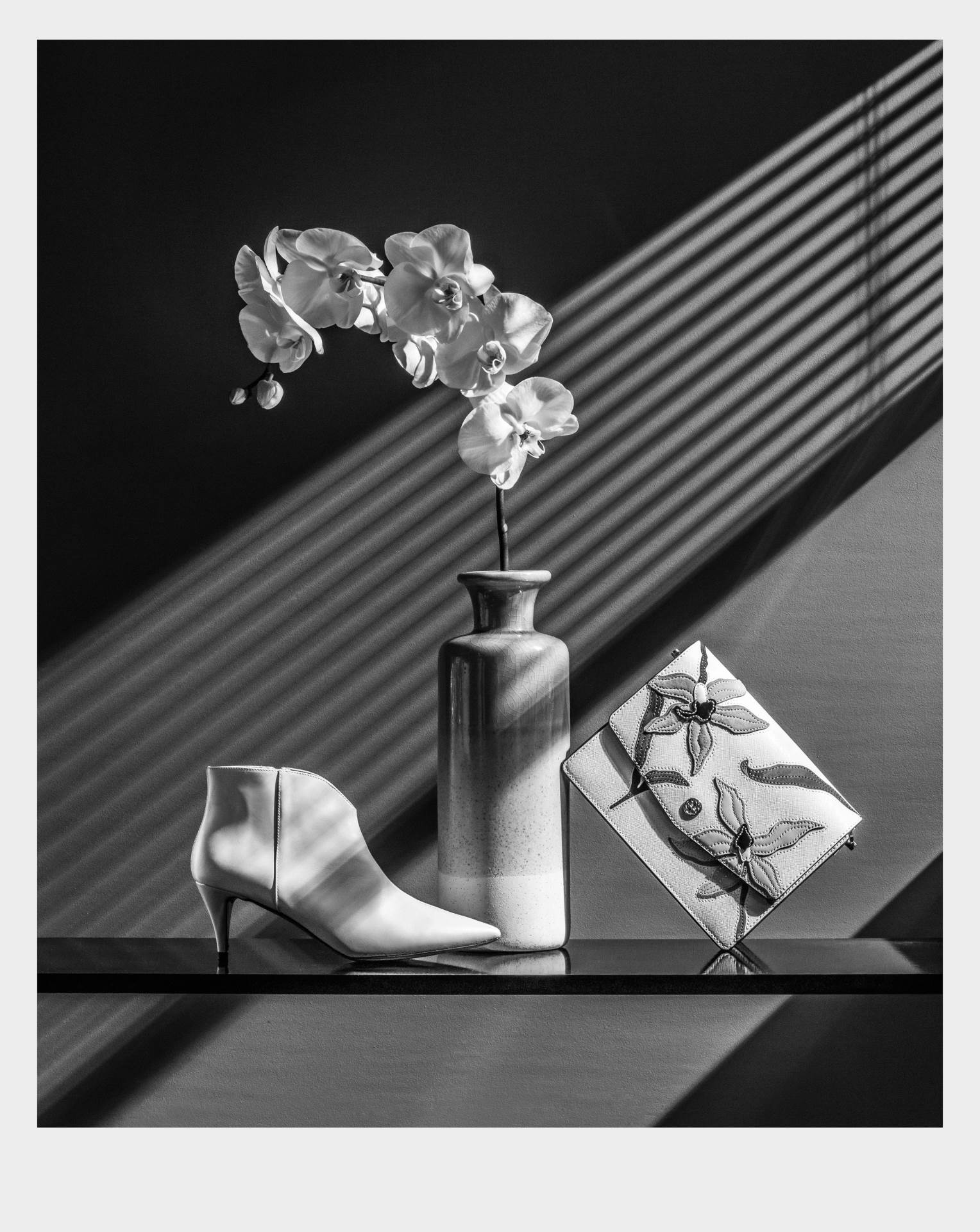 KARLA KAMPANJA11,Uvod u modnu jesen i zimu