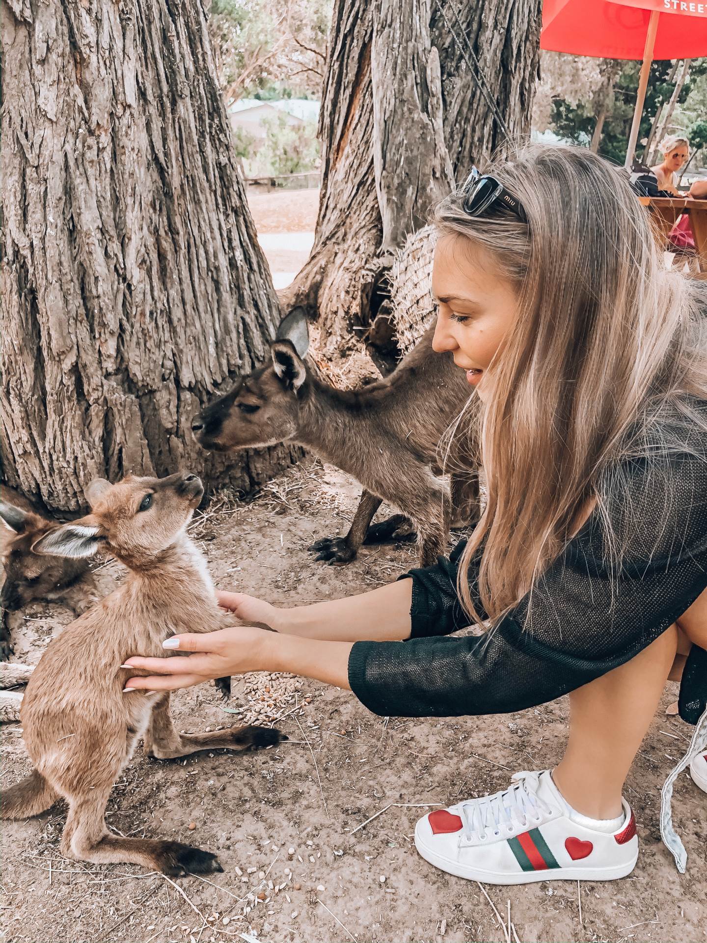 Blogerica o požarima u Australiji: 'Prizor u skloništima nije nimalo lijep'