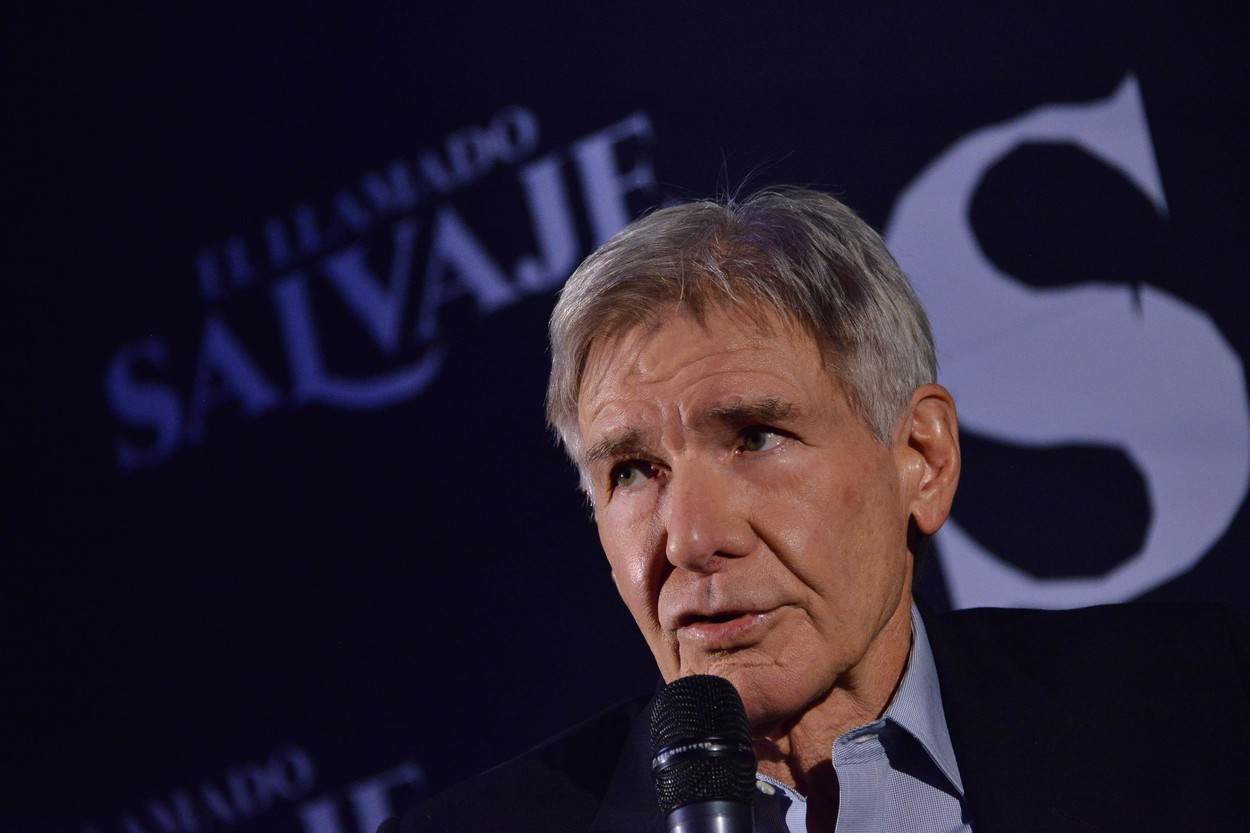 Harrison Ford trenutno je u braku s Calistom Flockhar