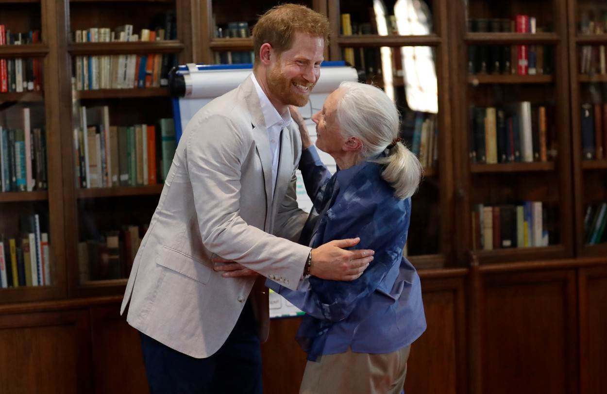 Princ Harry se ponovno žrtvuje zbog Meghan