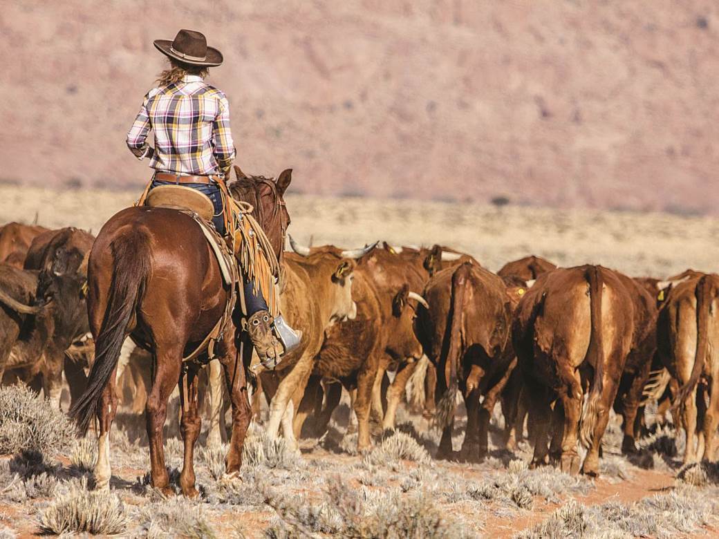 Upoznajte sestre Senku i Majdu Pazman, trenerice divljih konja u Namibiji