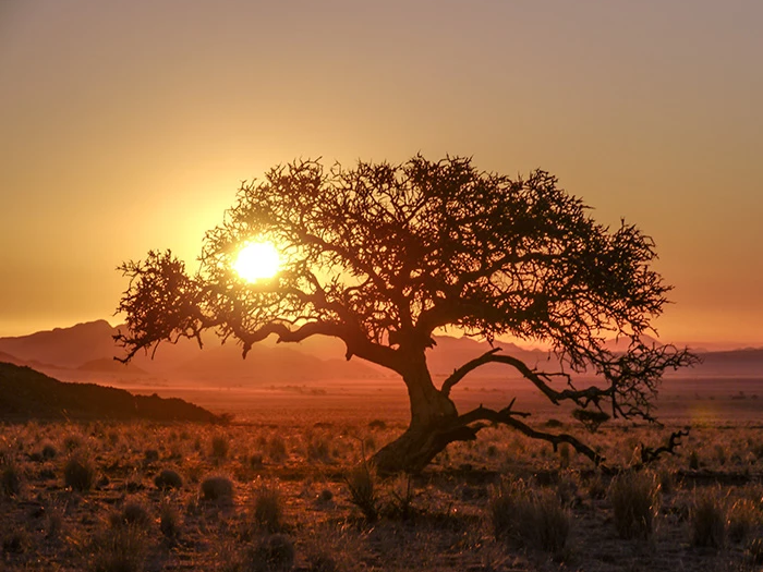 Upoznajte sestre Senku i Majdu Pazman, trenerice divljih konja u Namibiji