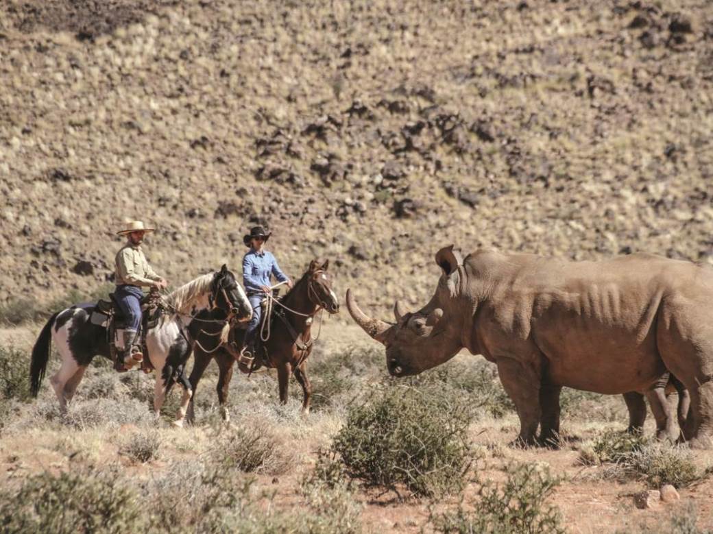 Upoznajte sestre Senku i Majdu Pazman, trenerice divljih konja u Namibiji