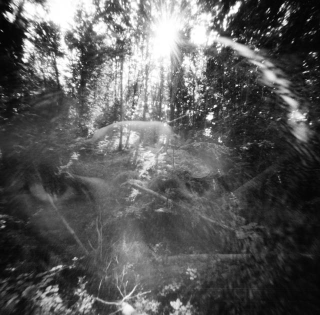 Čarobna šuma sa Slavkom Sobinom