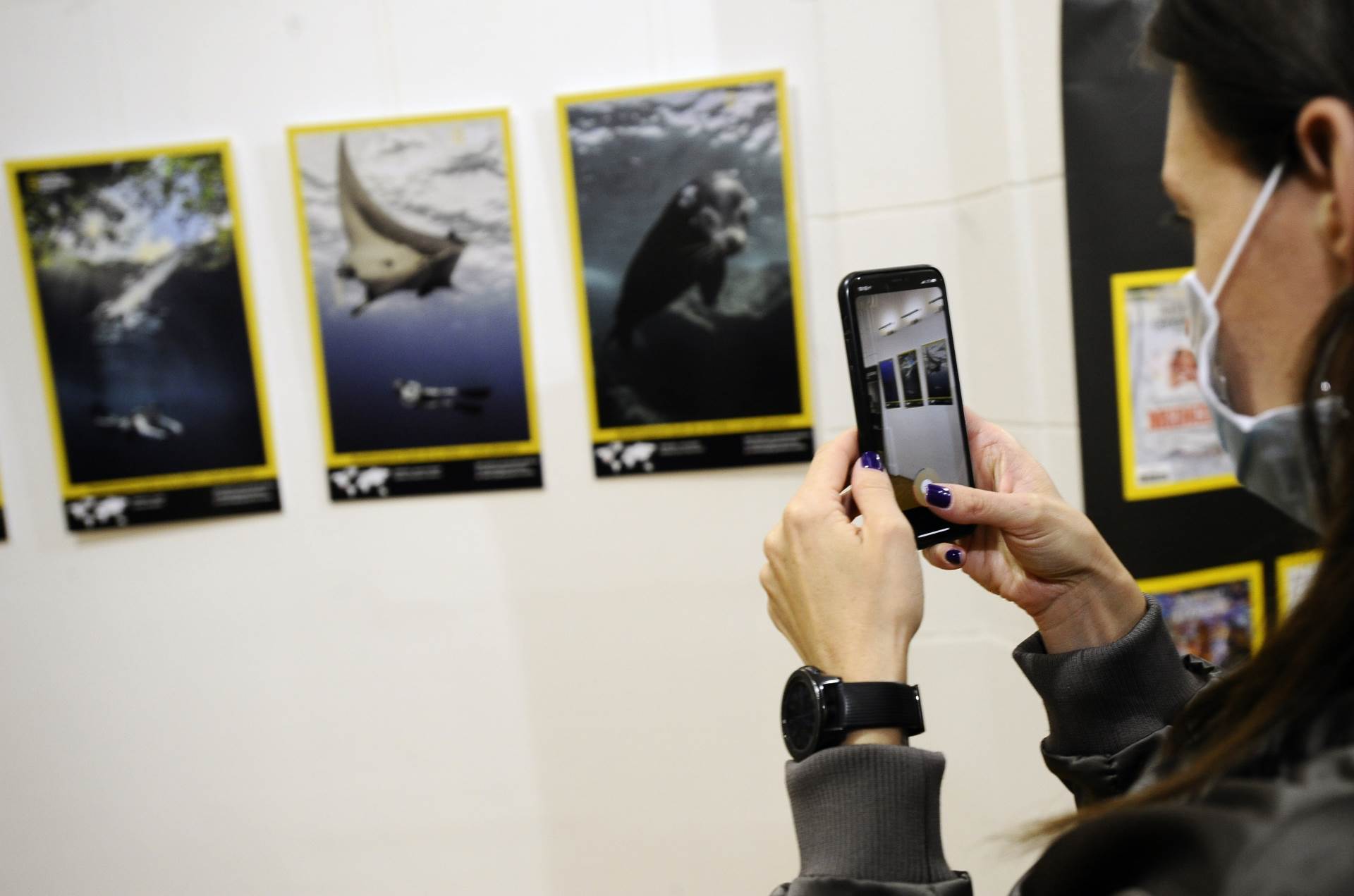 Otvorena izložba podvodnih fotografija Plavi svijet, autora Damira Zuruba