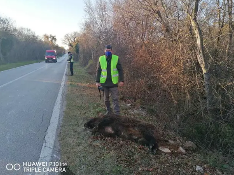 Željko iz 'Ljubav je na selu' se sudario s veprom od 130 kilograma