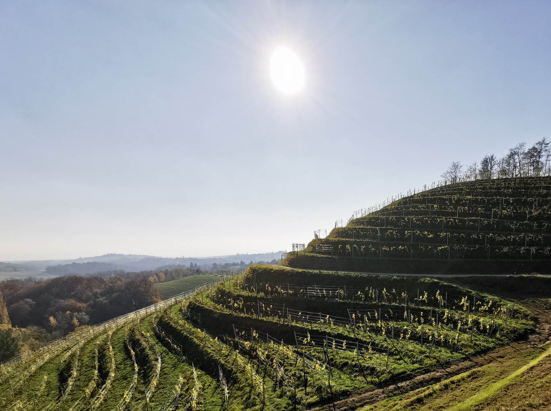 Vinaldi: Četiri godišnja doba