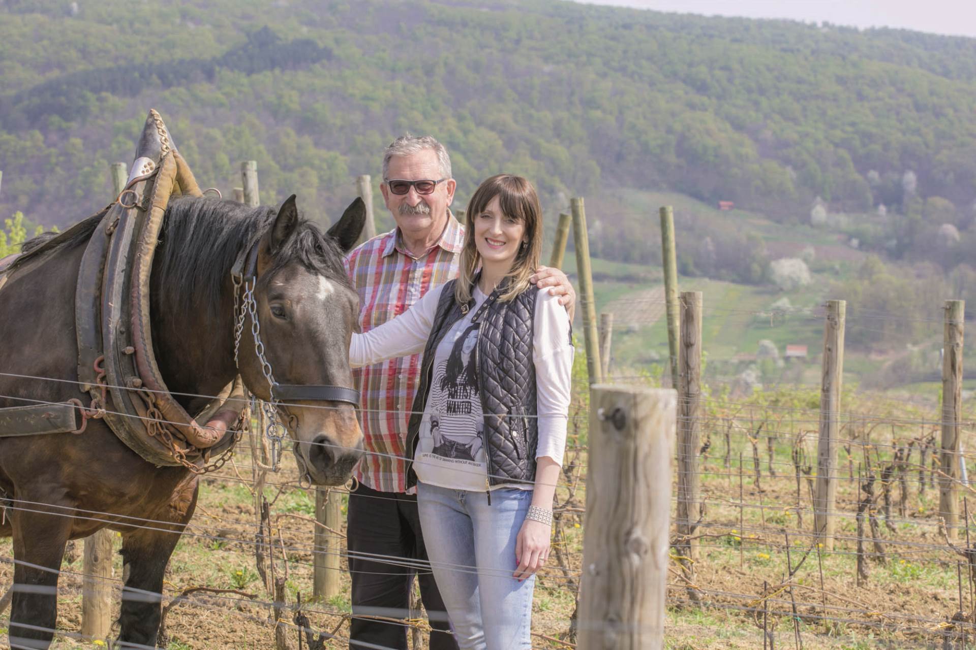 VLADO KRAUTHAKER: Kutjevačka rasprava o lozi, bačvama, vinu...