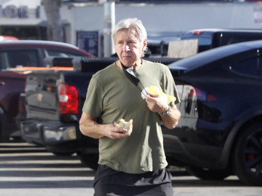 Harrison Ford trenutno je u braku s Calistom Flockhar